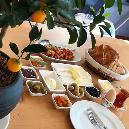 Clementin Suits Сигаджик