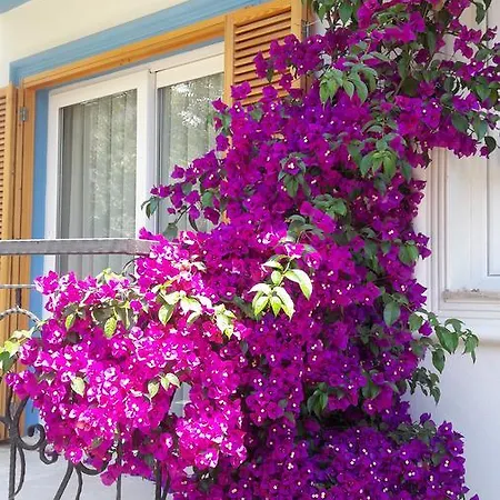 Clementin Suits Appart hôtel Siğacık