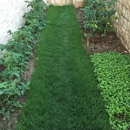 Clementin Suits Aparthotel 3*