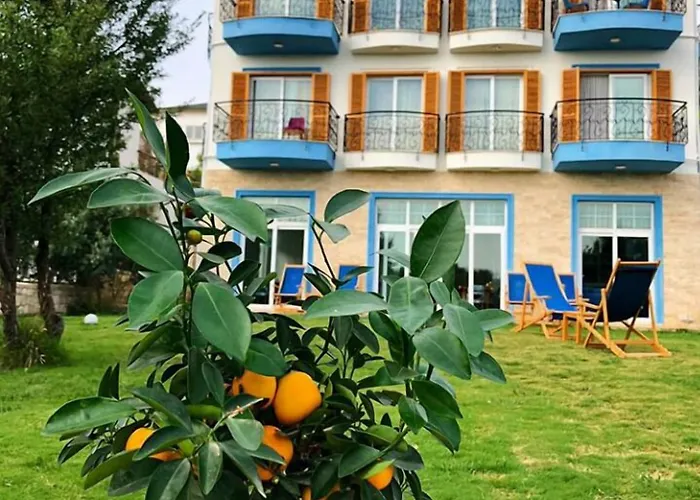 Clementin Suits
