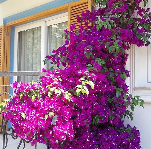 Clementin Suits Aparthotel Siğacık